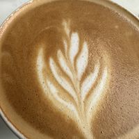   at Planet Terra in Dubai