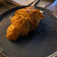  at Planet Terra in Dubai