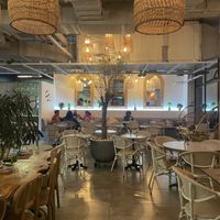 Interior and inside atmosphere   at Planet Terra in Dubai
