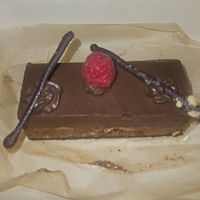  at Planet Terra in Dubai