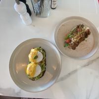   at Planet Terra in Dubai