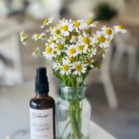   at Planet Terra in Dubai