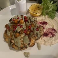   at Planet Terra in Dubai