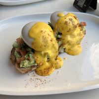   at Planet Terra in Dubai