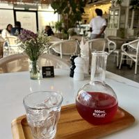   at Planet Terra in Dubai