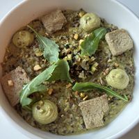   at Planet Terra in Dubai