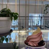   at Gelatarium in Florence