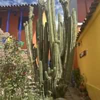 Courtyard   at La Casa del Corregidor in Puno