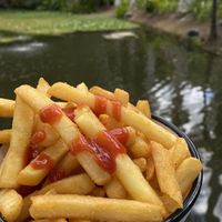 Best chips! Had them near the pond! The food is really good and the atmosphere is really nice! It’s free entry so you can come whenever you like to enjoy the gardens & rainforest at The Ginger Kitchen in Yandina