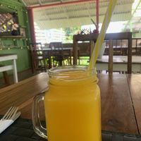   at Pura Gula in Puerto Viejo De Talamanca