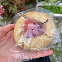 Sakura&kinako muffin at Soy Soy Cafe in Okinawa