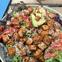   at Energetic Life  in Stuttgart