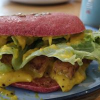  at Energetic Life  in Stuttgart