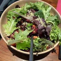   at Energetic Life  in Stuttgart