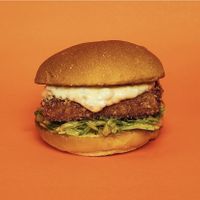 burguer maré  at Vegan Ti Burguer  in Rio De Janeiro