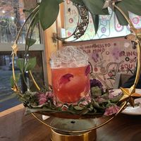   at Mezcal & Sal in Puerto Vallarta