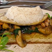 Sauteed wild mushrooms, tarragon cream, pine nuts on focaccia at Scholars in Blackburn