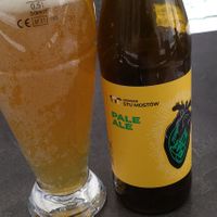 cerveza polaca at Pod Przykrywką in Wroclaw