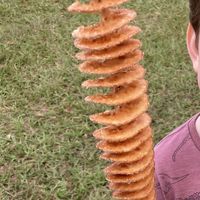 Slinky  at Potato Slinky in Eumundi