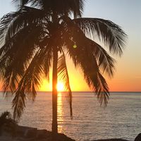 Their view!! at Buccanos in Cozumel