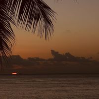   at Buccanos in Cozumel