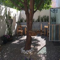 Cute ambiance .  at Planeta Veggie in La Paz