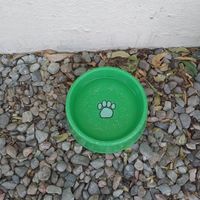  at Planeta Veggie in La Paz