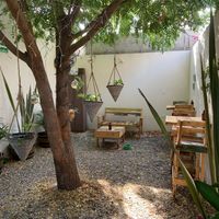   at Planeta Veggie in La Paz