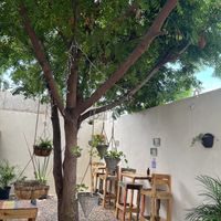 Outdoor seating   at Planeta Veggie in La Paz