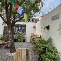   at Planeta Veggie in La Paz