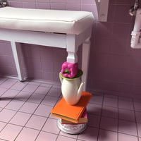 Too cute, had to take a photo (toilet)   at Linda Chirico Ofelè in Porto Ceresio