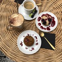 Super Nice store. And a very nice owner!  at La Végétalerie - concept store végétal in Saint-brieuc