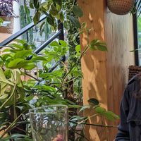  at La Végétalerie - concept store végétal in Saint-brieuc