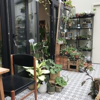   at La Végétalerie - concept store végétal in Saint-brieuc