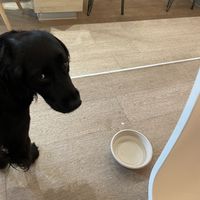   at Dean & David - Lister Meile in Hannover