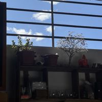 View   at Govinda Lila in Cusco