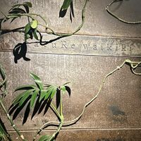   at natuRe waikiki in Honolulu