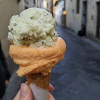 Kiwi & orange flavour - both vegan at Gelateria Della Passera in Florence