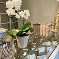   at Gelateria Della Passera in Florence