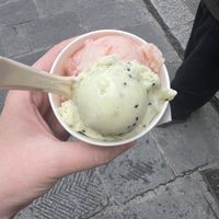   at Gelateria Della Passera in Florence