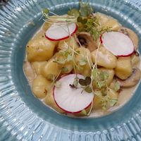  at Vegan Garden Budapest in Budapest