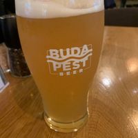 Een Hongaars IPA Biertje 9 %  at Vegan Garden Budapest in Budapest