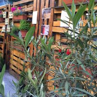Our food yard at Vegan Garden Budapest in Budapest