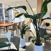 interior of location - seating 2nd floor at Fortunate Coffee - 씽푸커피 in Ansan