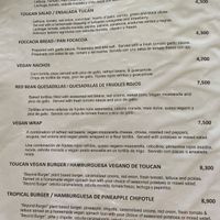 One half of the dedicated vegan menu. The other half includes four kinds of pasta, and several pizzas made with vegan cheese. at Toucan Lane Hotel and Restaurant in Nuevo Arenal