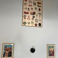   at HAILO in Marseille