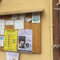   at L'ortica in Cavalese