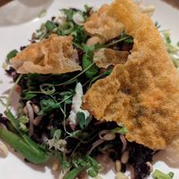 Main course at Abisko Mountain Lodge in Abisko