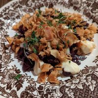 Starter at Abisko Mountain Lodge in Abisko