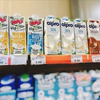 Vegan milks  at Šiki - Шики in Sipovo